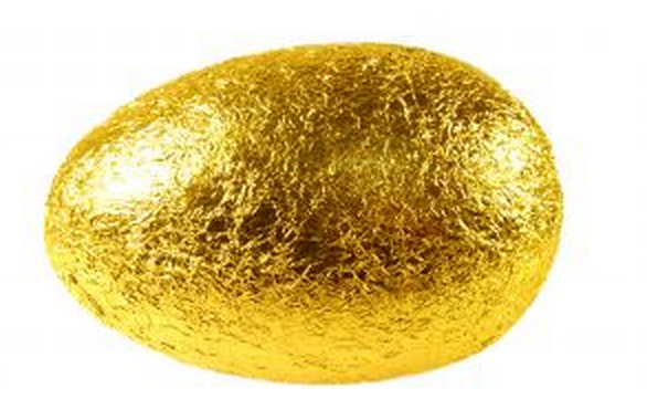 golden egg my road to financial freedom