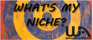 what is a niche? my road to financial freedom