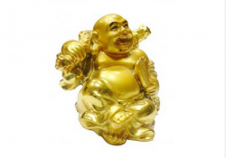 laughing budda my road to financial freedom