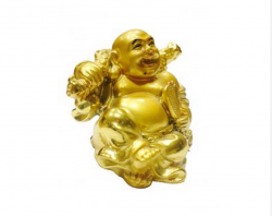 laughing budda my road to financial freedom
