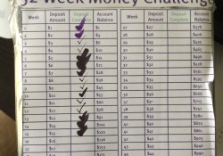52 Week Money Challenge My Road to Financial Freedom